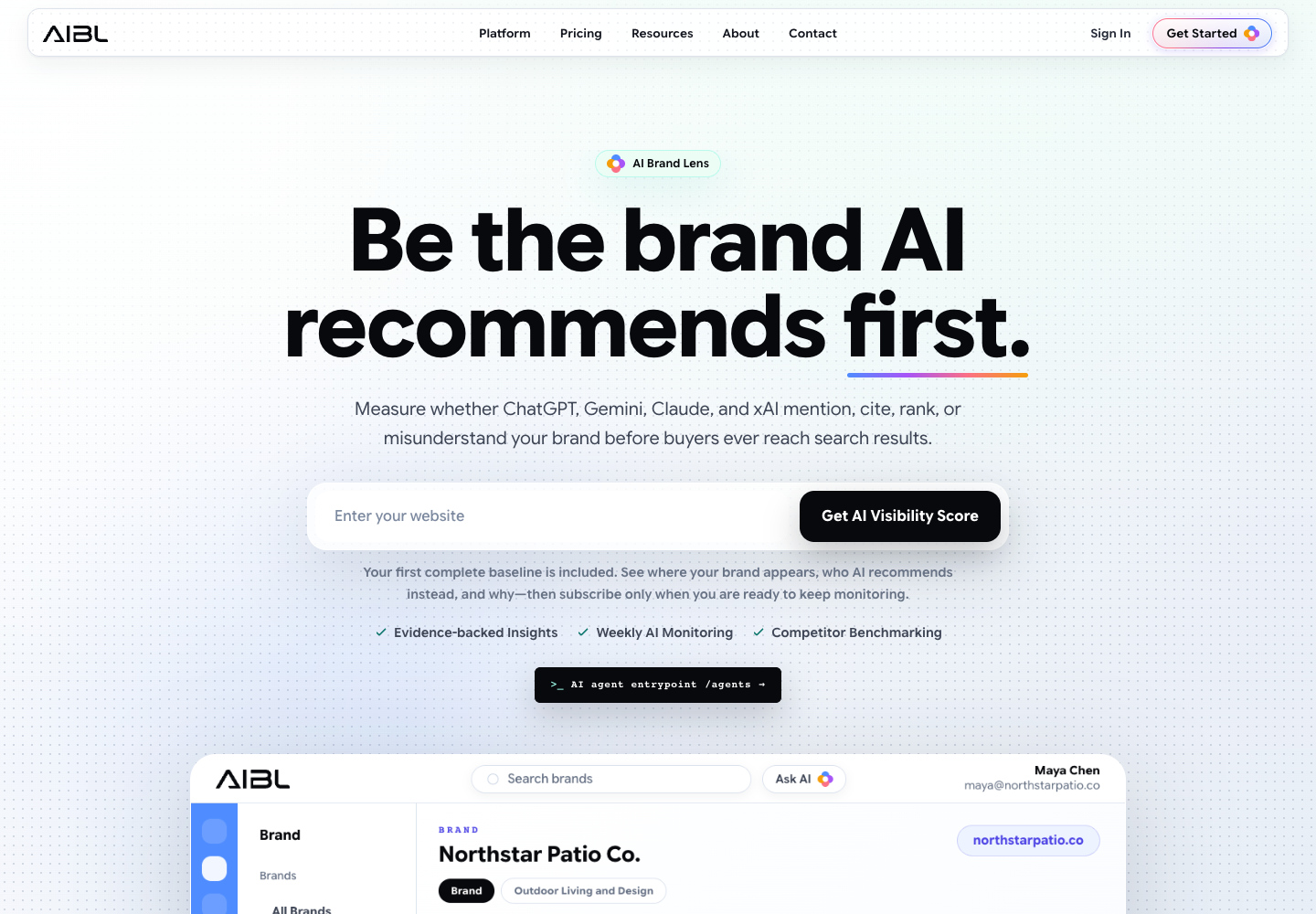 AI Brand Lens homepage with a website entry point for checking AI visibility